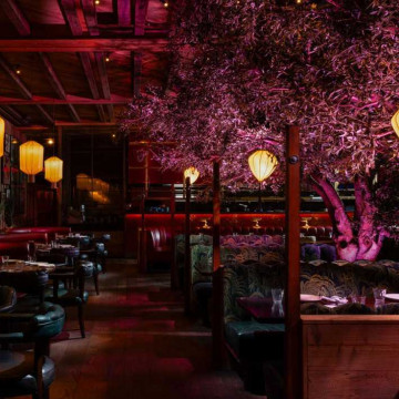 Image for Dinner for 2 at Mama Yo				